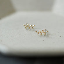 Load image into Gallery viewer, Vine Earrings - Pine Jewellery
